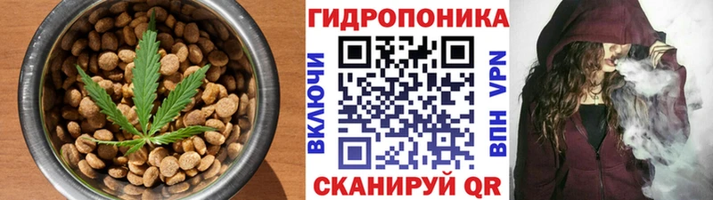 Canna-Cookies конопля  Купить закладки  Цоци-Юрт 