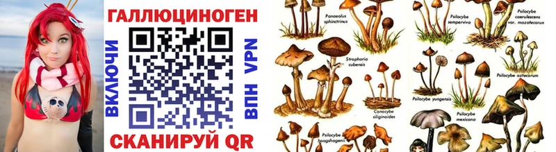 Купить закладки  Цоци-Юрт  Псилоцибиновые грибы ЛСД 